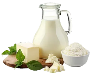 Milk & Dairy's