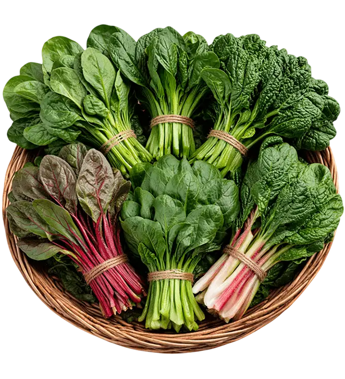Spinach Varieties