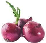 Pusa Red Onion
