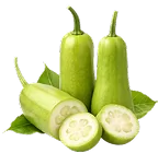 Bottle Gourd (Suraikkai)