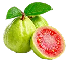 Guava