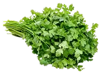 Coriander Leaves (Kothamalli)
