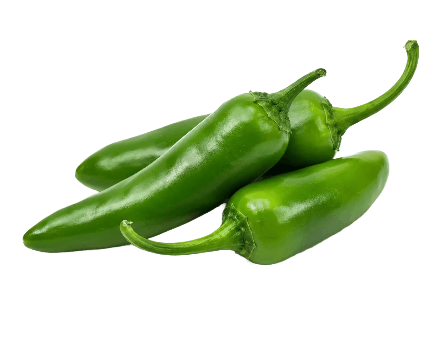 GreenChilli