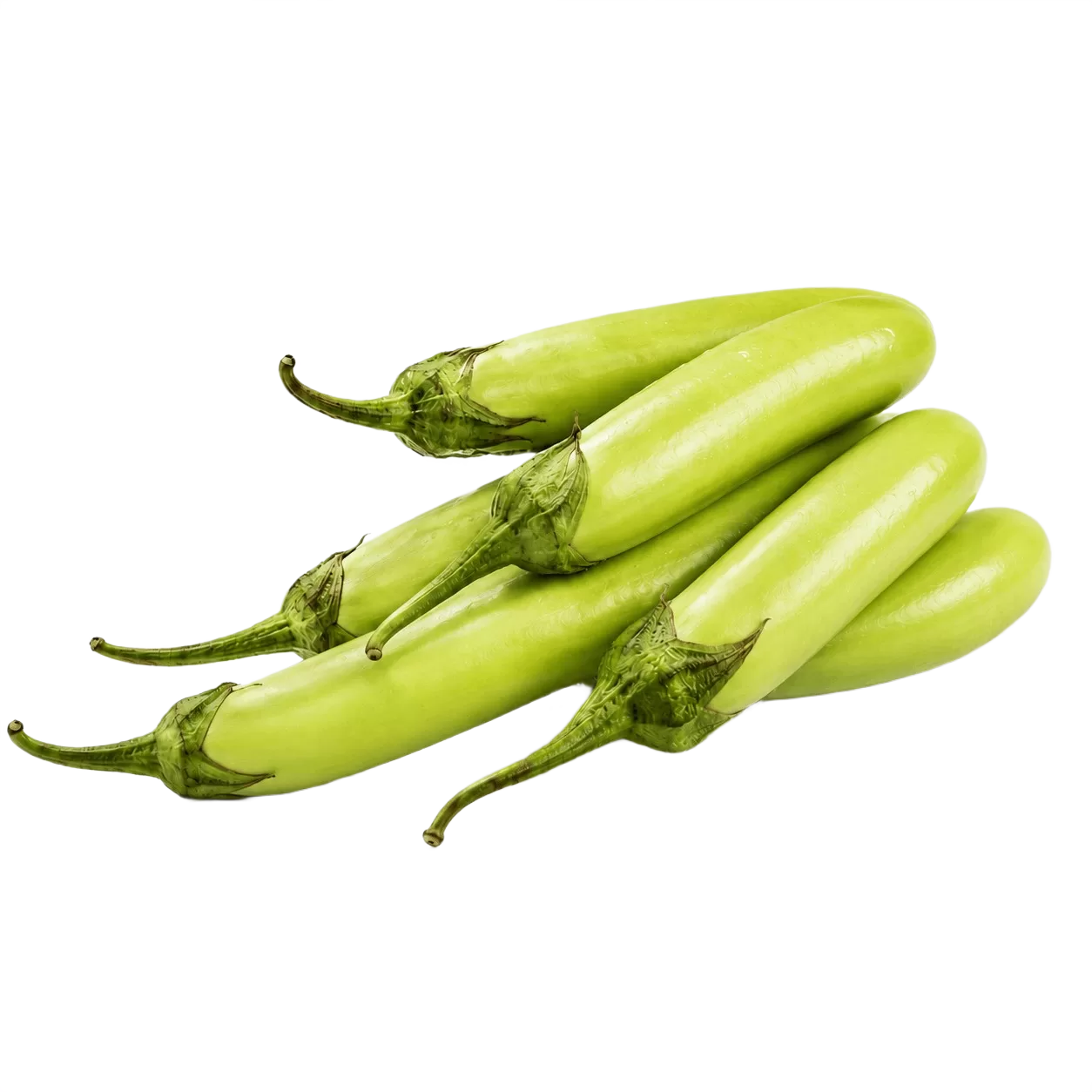 Bangalore Hybrid Brinjal