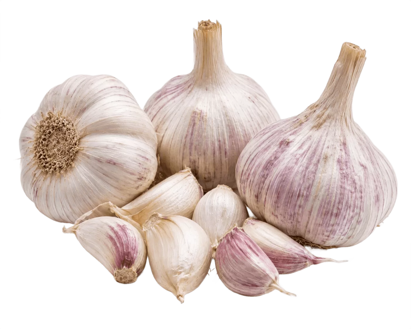 Kodaikanal Garlic