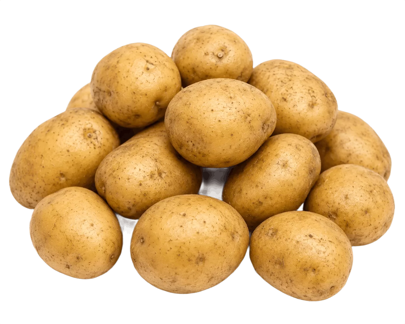 Potato
