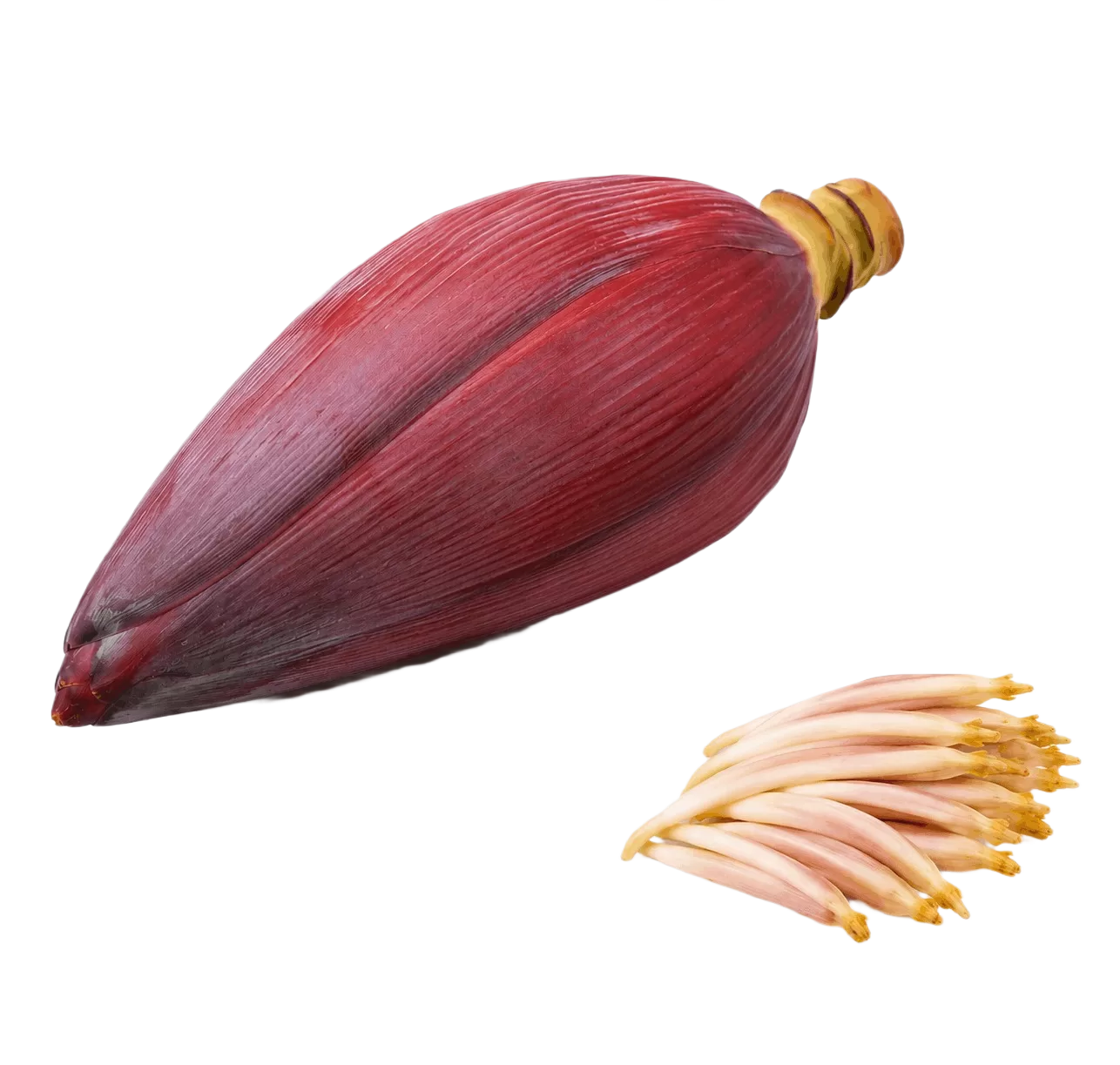 Banana Flower