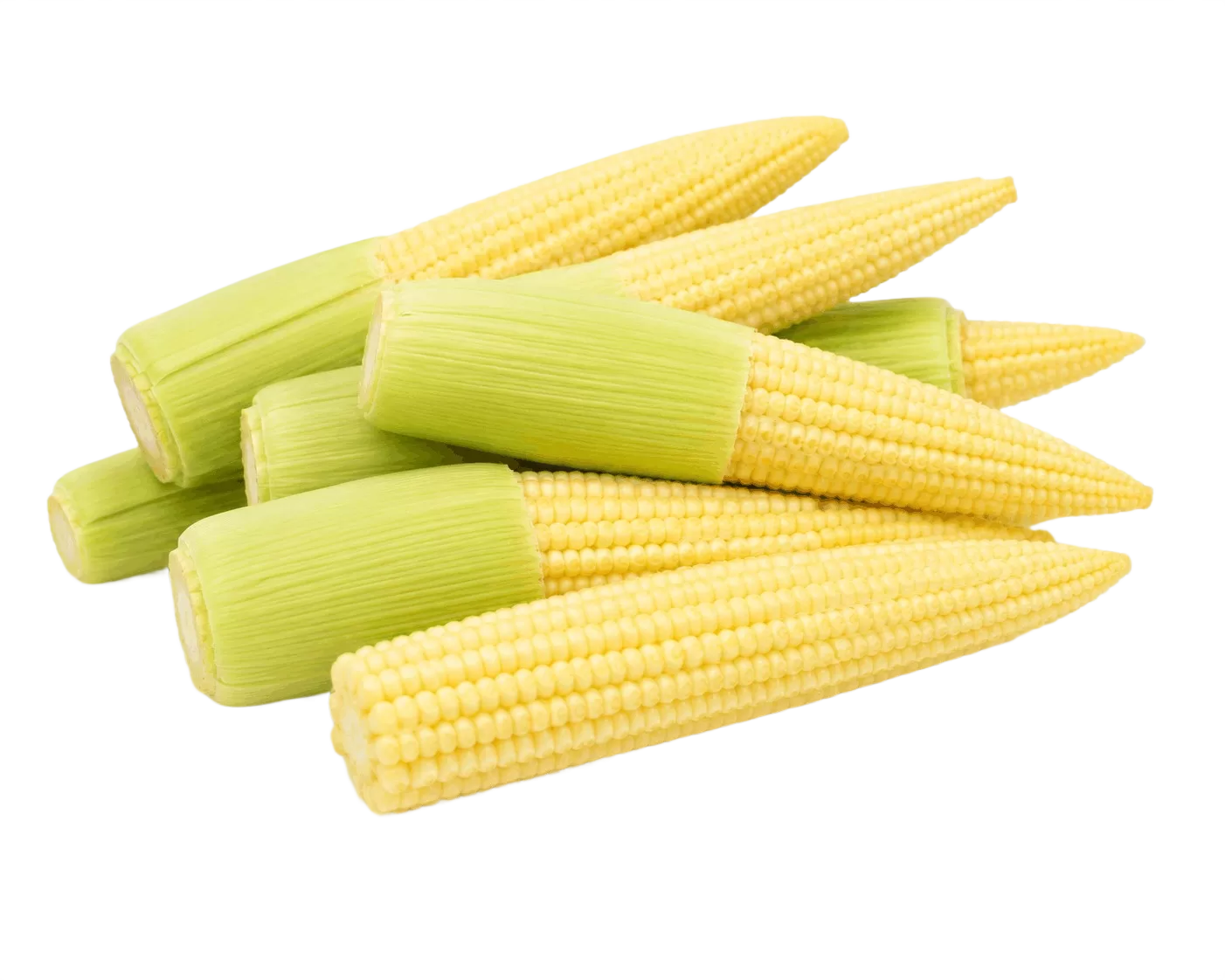 Baby Corn