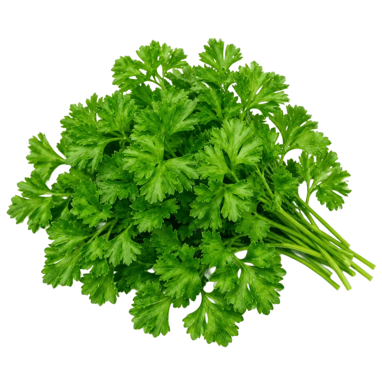 Parsely