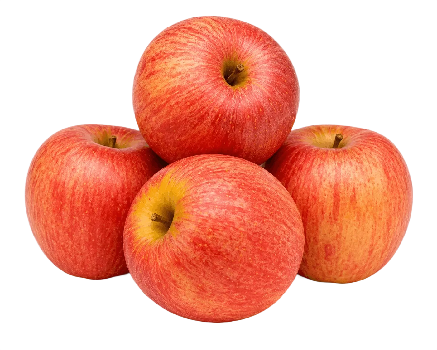 Gala Apple