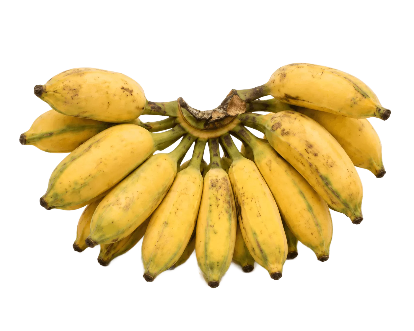 Karpooravalli  Banana