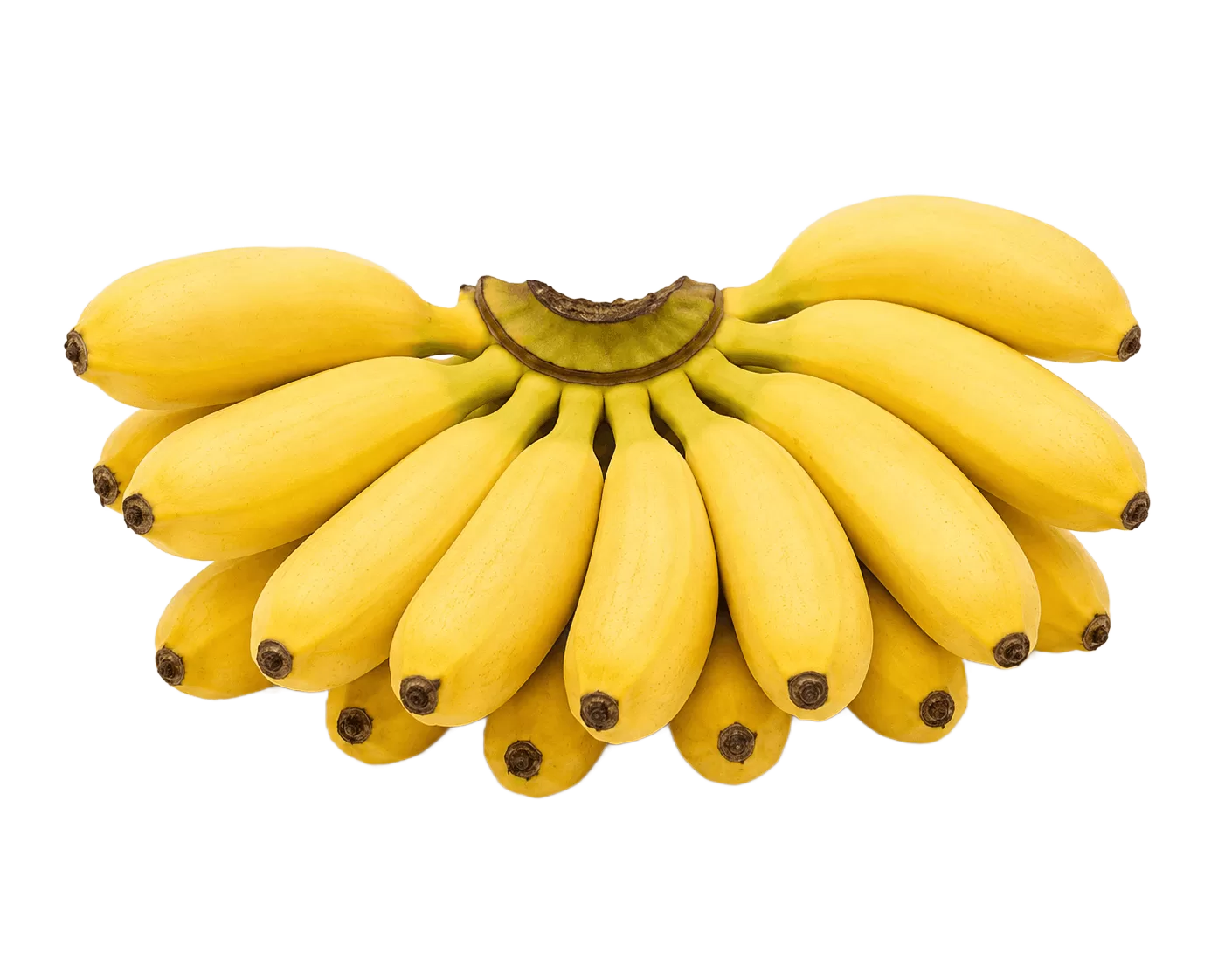 Poovan  Banana