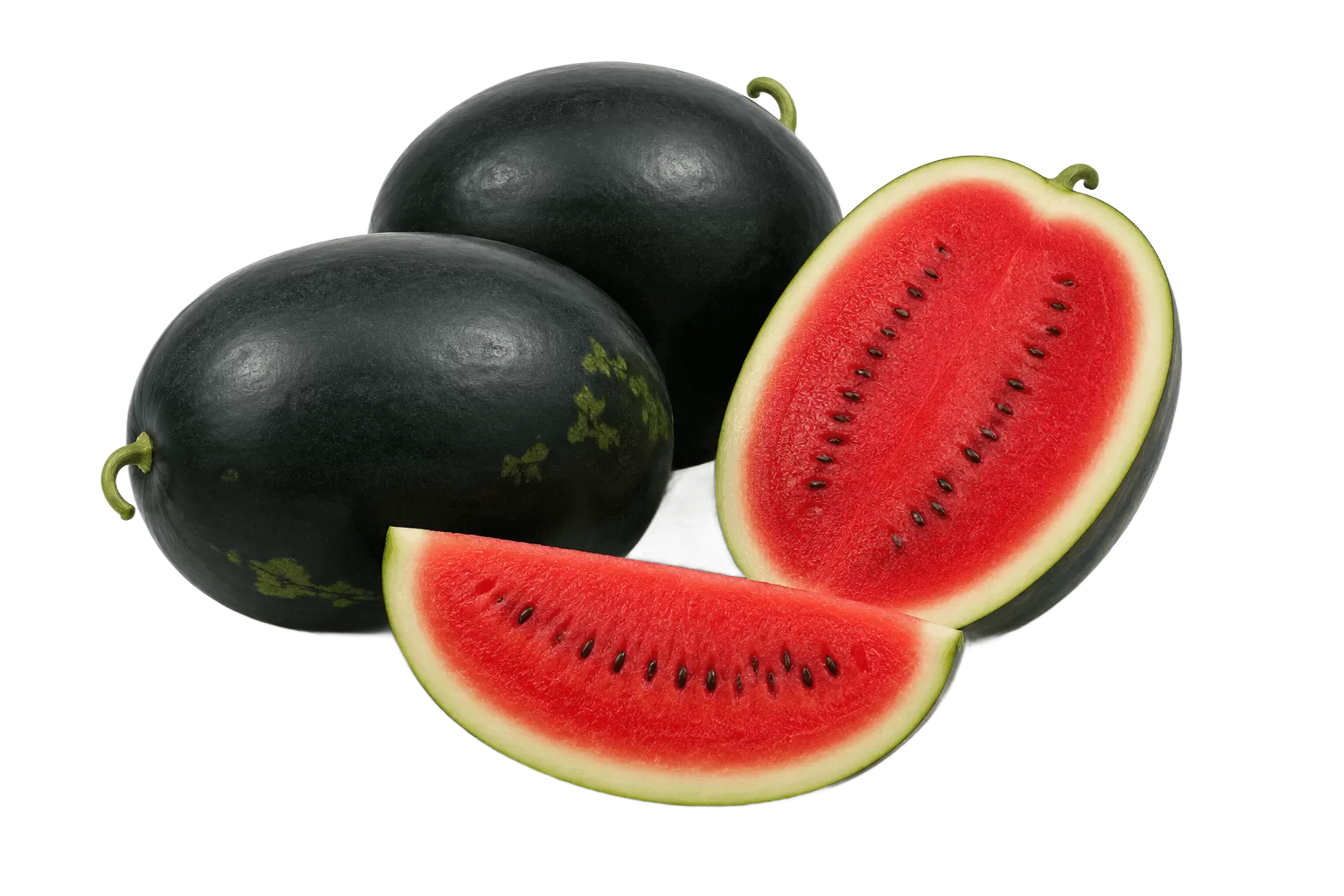 Watermelon Hybrid