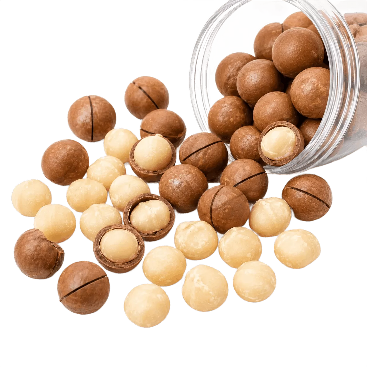 Macadamia Nuts
