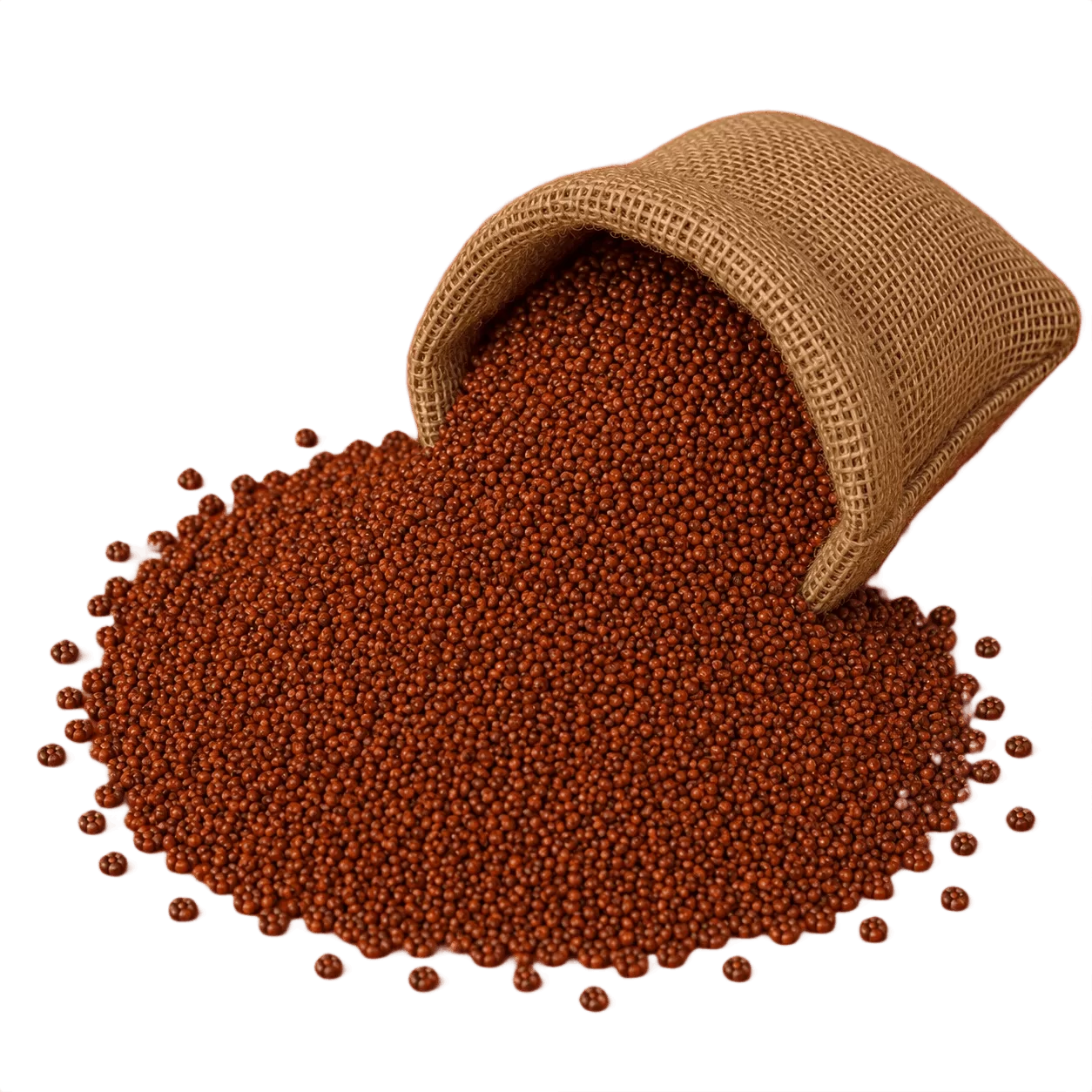 Ragi