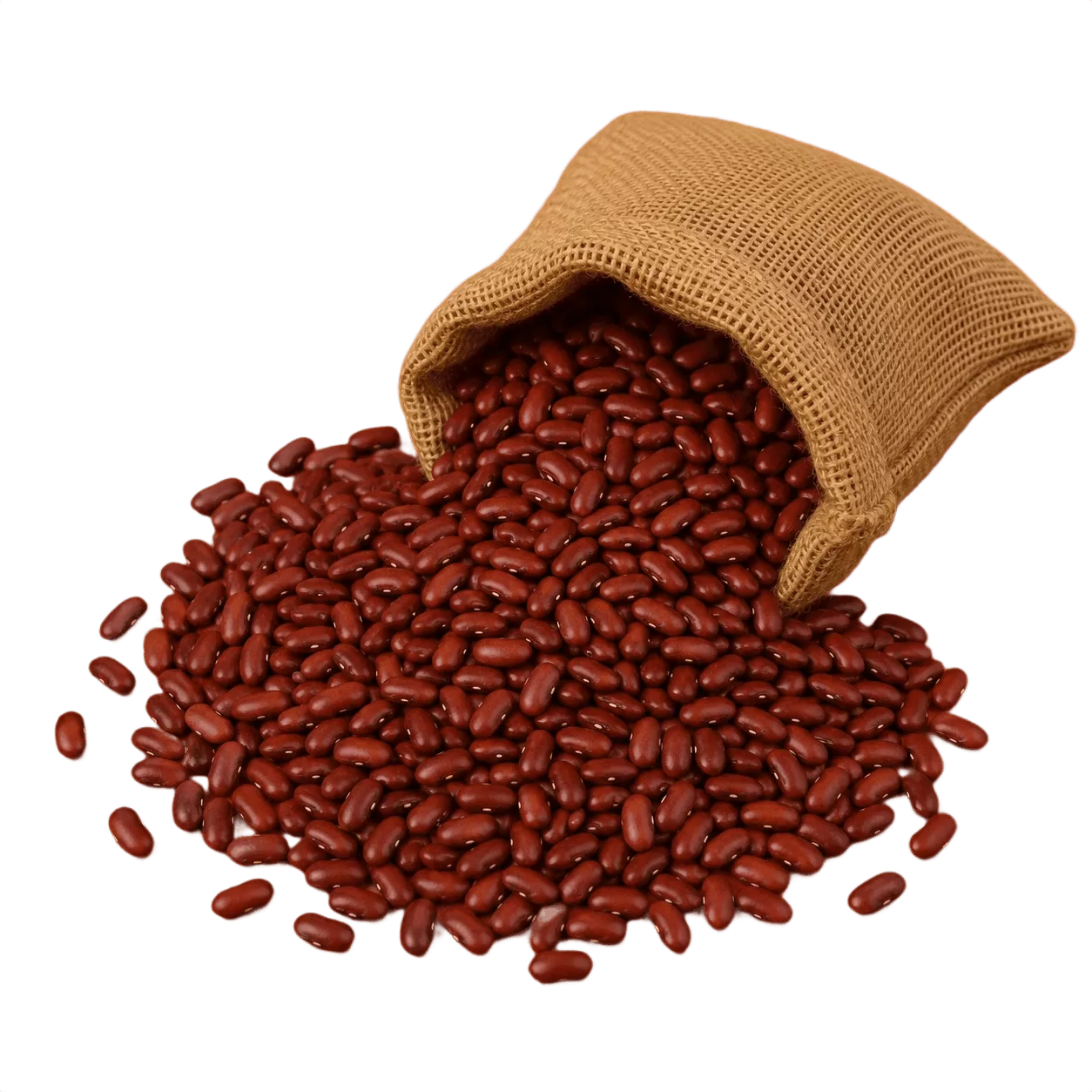 Rajma