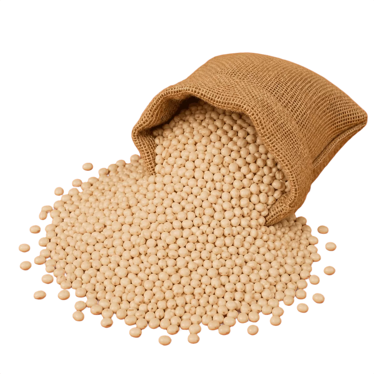 Urad Dal