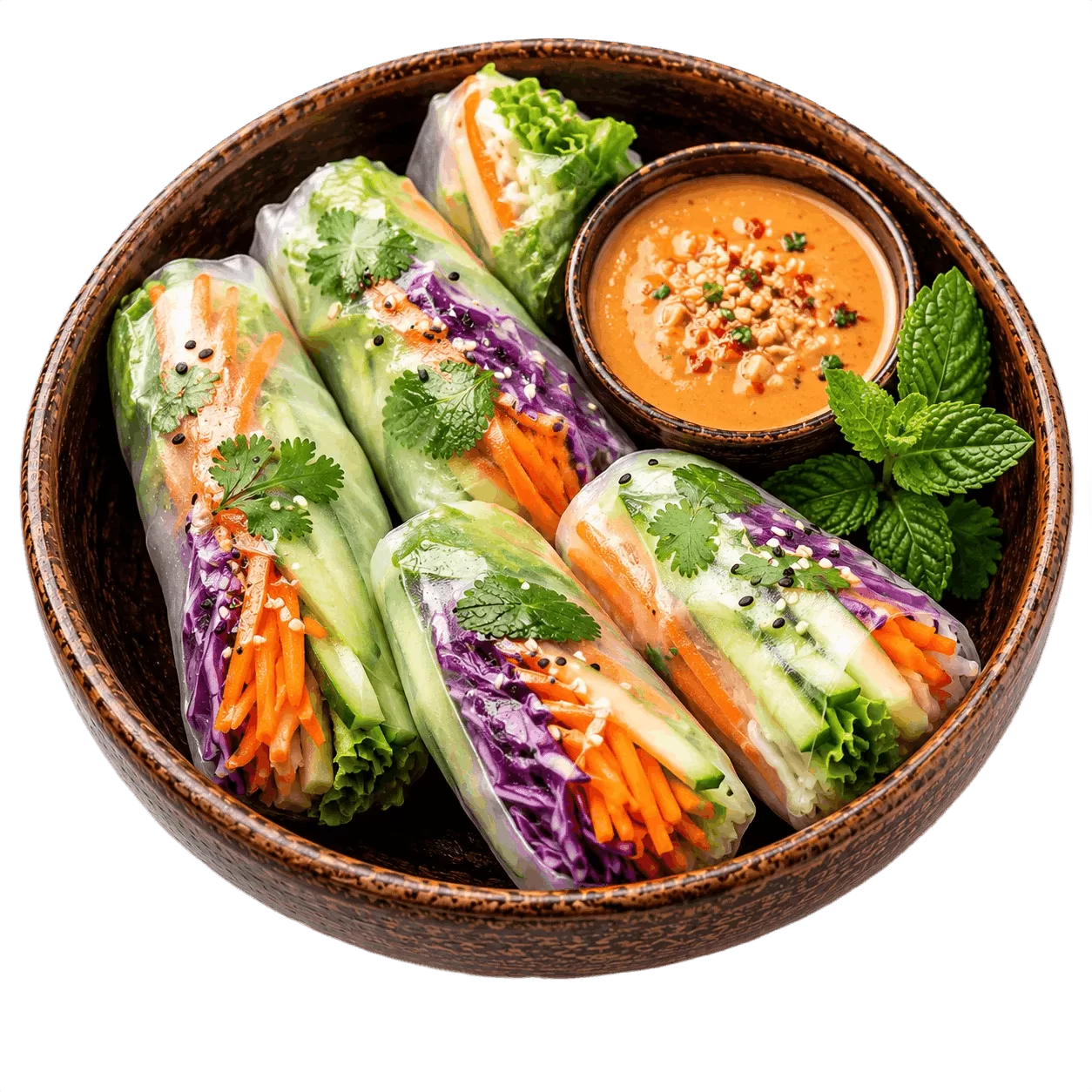 Vitnamese Spring Roll