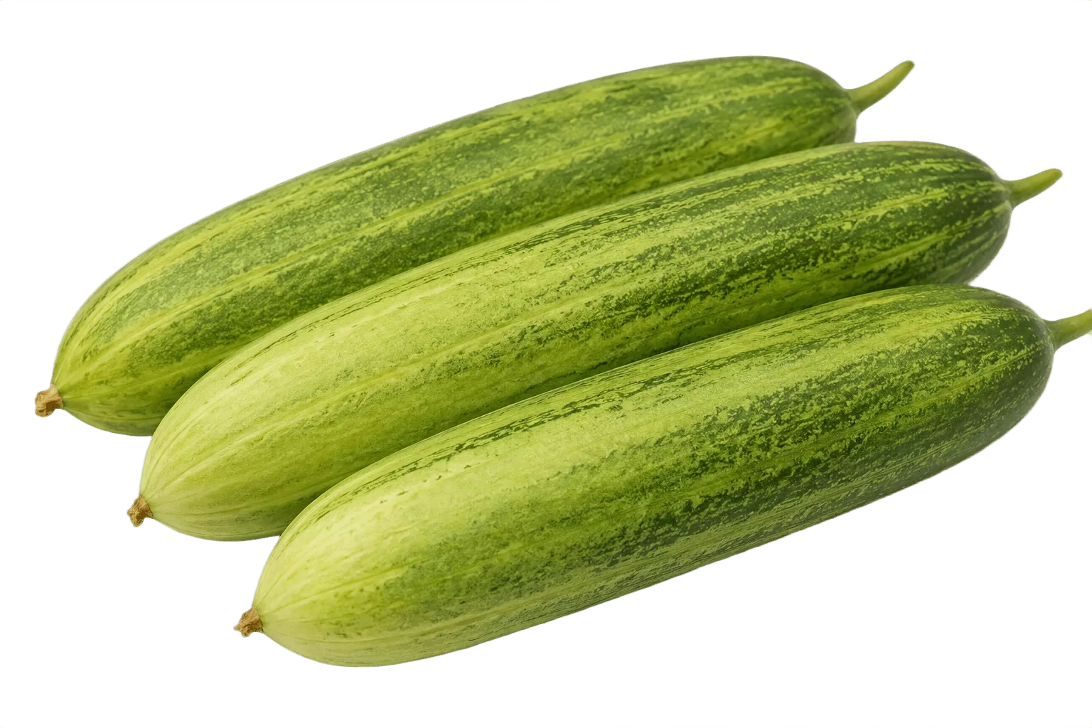 Cucumber