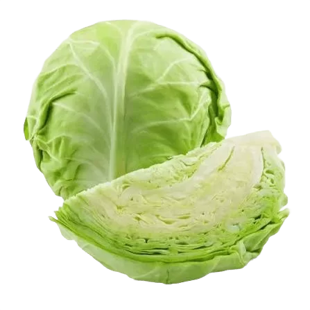 Cabbage