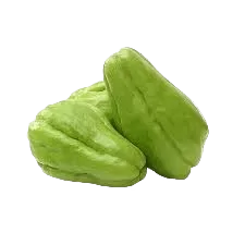Chow Chow