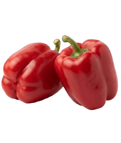 Red Capsicum