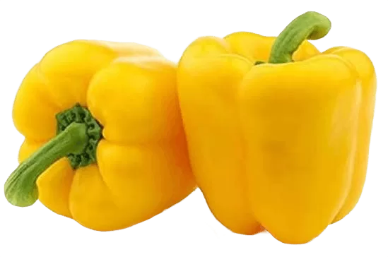 Yellow Capsicum