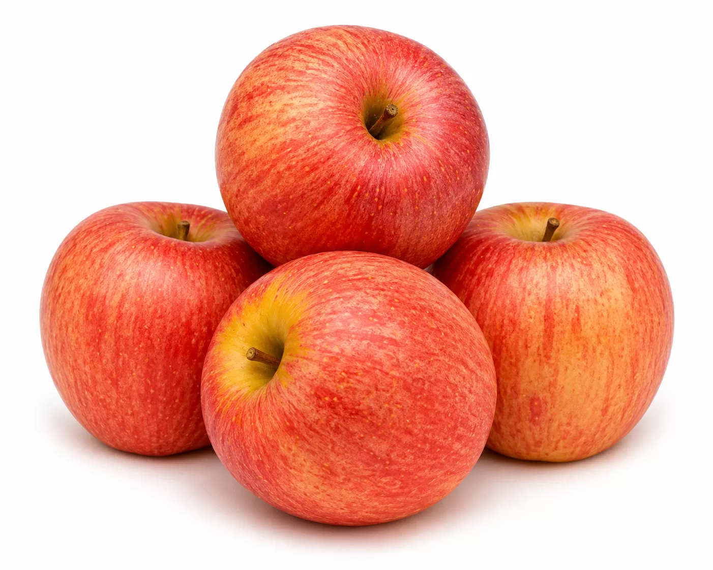 Gala Apple