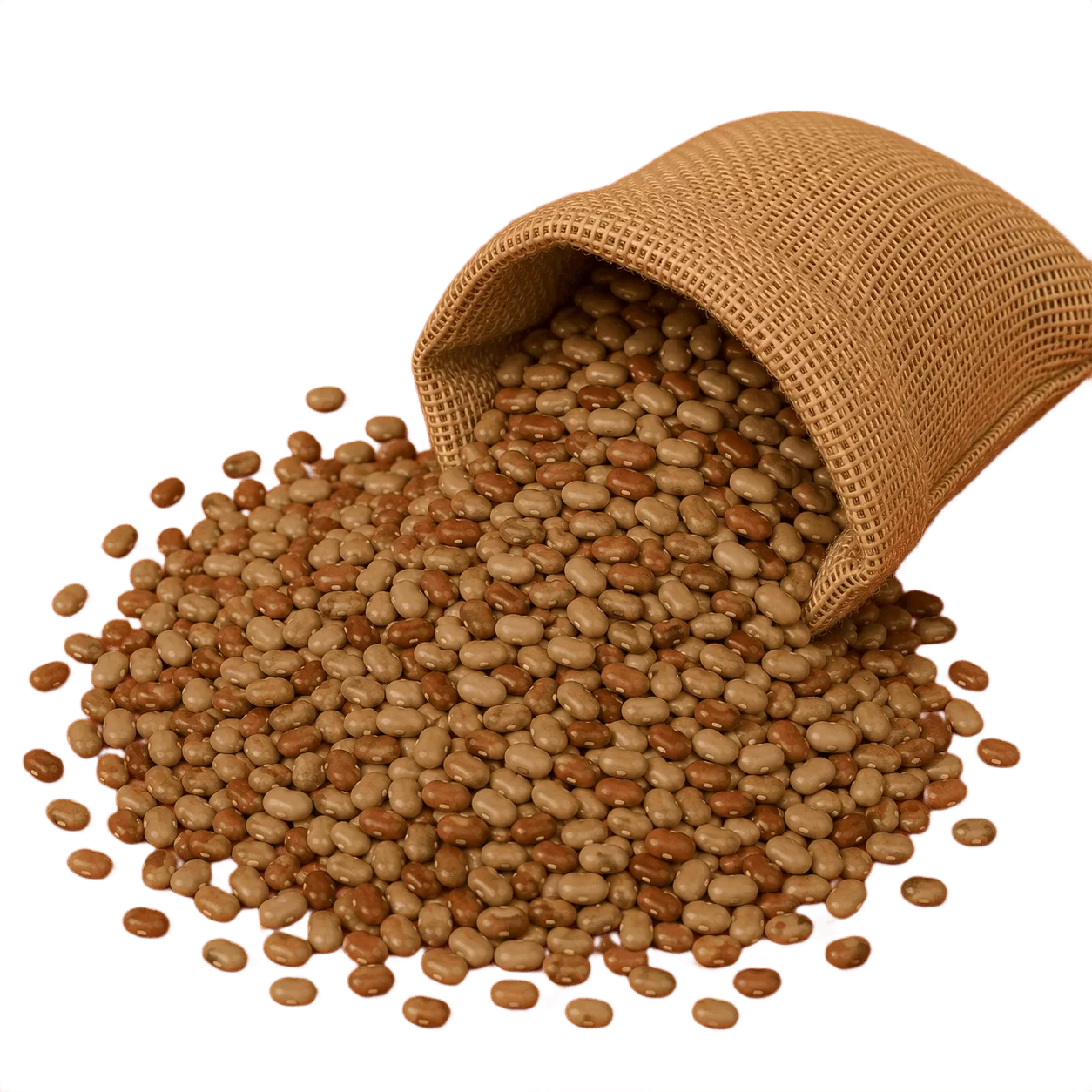 Horse Gram